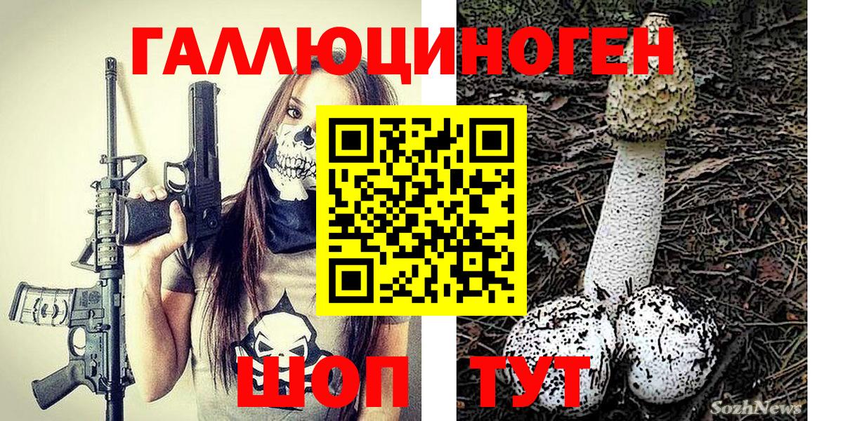 Псилоцибиновые грибы Psilocybine cubensis  Вход с VPN  Галлюциногенные грибы мухоморы  Геленджик 