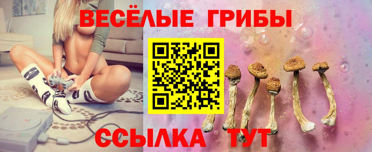 Псилоцибиновые грибы Psilocybe Геленджик